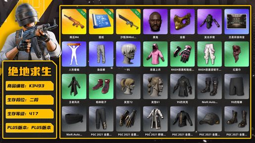 绝地求生（PUBG）K3493  2段417级 信誉2 8级南瓜 2级沙悟净 5图纸 染血裤（可交易） 黑鬼 金面 悲喜 发光手 人形看板