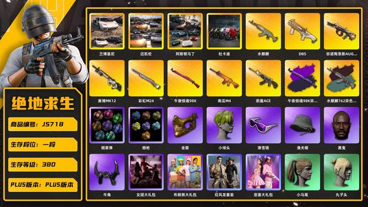 绝地求生（PUBG）10级恶魔ace，1级彩虹m24，2级黑暗深渊+异色，玫瑰金杜卡迪，迈凯伦，马丁，兰博基尼跑车和兰博基尼suv，1代女团，1级惊魂98k+异色，1级金牛aug|南瓜M4|彩虹M24|弥诺陶洛斯AUG|午夜惊魂98K|恶魔ACE|水麒麟|赛博MK12|DBS|水麒麟762异色|午夜惊魂98K异色|阿斯顿马丁|杜卡迪|迈凯伦|兰博基尼|[战场痕迹] 湮灭 - Beryl M762|毒液M762|烟枪|