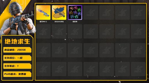 绝地求生（PUBG）mk12加5张图纸，sks异色，加青烟|魔咒MK12|时光SKS异色|图纸|烟雾弹|数码丛林迷彩 - M16A4|幸运骑士 - SKS|幸运骑士 - M24|镀金 - Win94|数码沙漠迷彩 - Kar98k|数码沙漠迷彩 - P18C