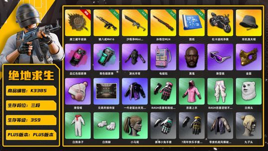 绝地求生（PUBG）K3385 3段359级 7级猪八戒 4级沙悟净 3级唐三藏 3级孙悟空 3图纸 烟雾弹 渔夫帽 黑鬼 金面 滑雪镜 小马尾 丸子头 电磁包 发光手 老鼠台夹克 白熊 悲喜 