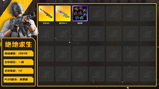 绝地求生（PUBG）时光加农sks×2＋魔咒之力mk12＋品红色烟雾弹＋黄金齿轮762。朱莉脸发型等等|魔咒MK12|时光SKS|烟雾弹|[战场痕迹] 自动化咒文 - QBZ