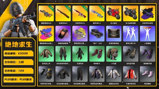 绝地求生（PUBG）K3339  3段125级 信誉3 7级爆裂+异色 6级悟空 2级无信号+异色 1级魔咒 双杜卡迪 烟枪烟弹 小马尾 丸子头 尼尔大礼包 拉风龙大礼包