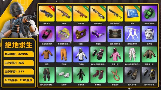绝地求生（PUBG）【K2946】4段317级 信誉3 4杀金 10级霓虹AUG 8级火麒麟 8级朱雀 7级赛博 2级沙悟净 2图纸 烟弹烟枪 马东锡 丸子头 金面 滑雪镜 白虎头 白虎包  