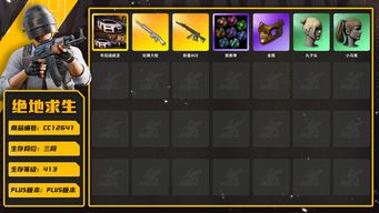 绝地求生（PUBG）[CC12641]CC12641/可排位/3段/413级/10张图纸/烟雾弹/改名卡/布加迪/10级妖魔ACE/1级玩偶大炮/金面/双马尾/丸子头/脏辫