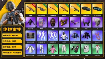 绝地求生（PUBG）[K4038]5段500级 信誉3 10级火麒麟 5级爆裂 5级98k 2级朱雀 1级恶魔 兰博suv 马丁跑车 黑鬼 金面 滑雪镜 丸子头 小马尾 牛角 白战神 白熊 老鼠台夹克 电磁包 星魂套装