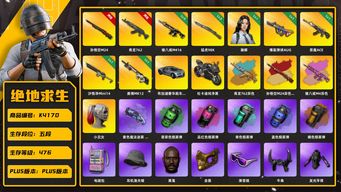 绝地求生（PUBG）[K4170] 5段476级 信誉4 10级孙悟空+异色 10级青龙+异色 5级猪八戒+异色  3级猛虎 1级爆裂 1级恶魔 1级沙悟净 1级赛博 烟弹烟枪 白战神 小绿东 老鼠台 电磁包 小丑女 丸子头 小马尾 黑鬼 金面 滑雪镜 渔夫帽 牛角 9s 白熊