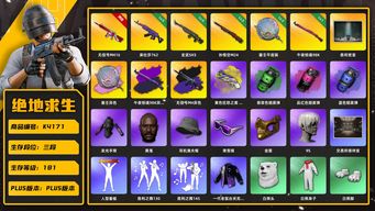 绝地求生（PUBG）[K4171]3段181级 信誉4 10级无信号+异色 5级美杜莎 5级玄武 3级孙悟空 2级塞壬+异色 1级午夜+异色 烟弹烟枪 白熊 发光手 黑鬼 金面 滑雪镜 渔夫帽 小马尾 丸子头 尼尔大礼包 