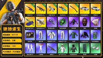 绝地求生（PUBG）[K4172] 3段134级 信誉3 5级美杜莎 5级弥诺陶洛斯+异色 2级无重力 1级权志龙AUG 1级烈日喷+异色 烟枪烟弹 布加迪 兰博SUV 星魂 小绿东 发光手 白熊套 黑鬼