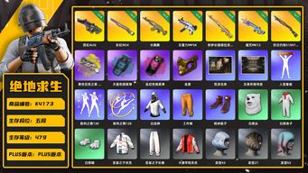 绝地求生（PUBG）[K4173]5段479级 信誉4 6级霓虹 3级彩虹 2级水麒麟 2级无重力 2级德拉贡 1级魔咒 1级s1897 烟枪烟弹 白战神 白熊 金面 