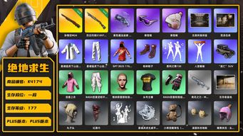 绝地求生（PUBG）[K4174]1段117级 信誉2 5级悟空 2级烈日喷 烟枪 悲喜 星魂 丸子头 滑雪镜