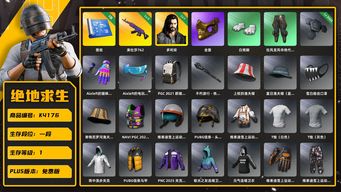 绝地求生（PUBG）[K4176] 1段1级（未开通排位） 信誉2 3级美杜莎 多利安  3图纸 金面 白熊脚 