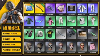 绝地求生（PUBG）[K4175]1段221级 信誉3 1级烈日喷 3图纸 烟枪 悲喜 星魂 小绿东 白熊套 滑雪帽
