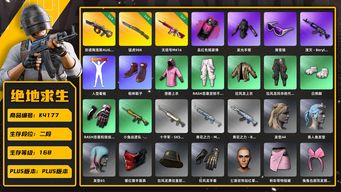 绝地求生（PUBG）[K4177]2段168级 信誉3 6级弥诺陶洛斯 3级猛虎 1级无信号 烟弹 悲喜 拉风龙 发光手 白熊脚 滑雪镜