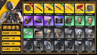 绝地求生（PUBG）[K4182]2段196级 信誉3 7级悟空+异色 3级唐三藏+异色 3级猪八戒 2级孙悟空 1级彩虹 小马尾 丸子头 金面 渔夫帽 白熊脚 尼尔大礼包 西游记大礼包