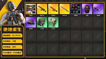 绝地求生（PUBG）[CC13131]CC13131/可排位/3段/394级/烟枪/烟雾弹/迈凯伦/5级青龙/5级朱雀M4/3级彩虹M24/电磁背包/拉风龙套装/粉战神/滑雪镜/滑雪帽/黑鬼/双马尾/丸子头/婚纱头/86渔夫帽/白虎背包