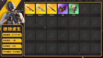 绝地求生（PUBG）[CC13132]CC13132/可排位/1段/149级/1张图纸/2级魔咒MK12/2级时光sks/1级无信号M4/魔咒MK12异色/时光sks异色/电磁背包/粉战神/金面/丸子头