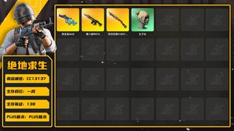 绝地求生（PUBG）[CC13137]CC13137/可排位/1段/138级/1000蜗牛币/3张图纸/5级权志龙AUG/1级猪八戒M4/1级烈日s1897/权志龙AUG异色/猪八戒M4异色/绿东/黄东/2星魂套装/滑雪帽/丸子头/脏辫/婚纱头