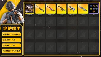 绝地求生（PUBG）[CC13201]CC13201/可排位/1段/184级/烟枪/布加迪/3级无重力/1级无信号M4/1级妖魔ACE/1级魔咒MK12/1级时光sks/魔咒MK12异色/黄东/