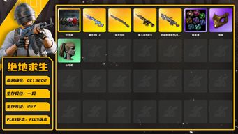 绝地求生（PUBG）[CC13202]CC13202/可排位/1段/267级/烟雾弹/1张图纸/杜卡迪/3级猪八戒M4/3级刻耳M249/2级魔咒MK12/2级猛虎98k/猛虎98k异色/绿东/拉风龙套装/金面/双马尾/婚纱头/白熊