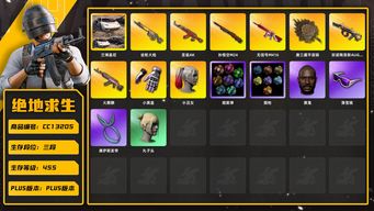 绝地求生（PUBG）[CC13205]CC13205/可排位/3段/455级/小黑盒手套/2张图纸/烟枪/烟雾弹/兰博基尼SUV/小丑女/10级火麒麟/10级无信号M4/10级孙悟空M24/3级齿轮大炮/2级圣诞ak/2级唐三藏锅/1级弥诺陶洛斯AUG/无信号M4异色/彩虹M24在工坊/粉战神/17套装/滑雪镜/滑雪帽/康萨斯发带/黑鬼/丸子头/脏辫/白虎背包/白熊