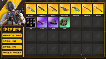 绝地求生（PUBG）[CC13208]CC13208/可排位/2段/102级/烟枪/4级沙悟净mini/4级午夜惊魂98k/2级权志龙AUG/2级爆裂弹珠AUG/2级魔咒MK12/1级妖魔ACE/1级夜曲M24/午夜惊魂98k异色/染血运动裤/星魂套装/拉风龙套装/滑雪镜/双马尾/渔夫帽/青海摇