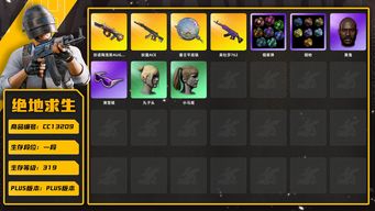 绝地求生（PUBG）[CC13209]CC13209/可排位/1段/319级/1张图纸/2烟枪/烟雾弹/10级弥诺陶洛斯AUG/6级美杜莎/2级塞壬平底锅/1级妖魔ACE/2星魂套装/粉战神/滑雪镜/黑鬼/双马尾/丸子头/白熊/青海摇