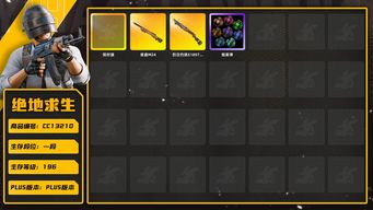 绝地求生（PUBG）[CC13210]CC13210/没开排位/1段/196级/1张图纸/烟雾弹/保时捷卡宴/3级夜曲M24/1级烈日s1897/滑雪帽