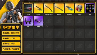 绝地求生（PUBG）[CC13211]CC13211/可排位/2段/306级/改名卡/烟枪/2张图纸/1700蜗牛币/杜卡迪/小丑女/8级妖魔ACE/1级权志龙AUG/1级猛虎98k/1级烈日s1897/绿东/星魂套装/滑雪镜/滑雪帽/牛角/