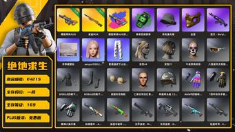 绝地求生（PUBG）[K4215]1段169级 信誉2 5级爆裂+异色 1级夜曲M24 烟弹 二代丸子头 25女团粉毛 渔夫帽 金面