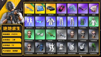 绝地求生（PUBG）[K4244]2段72级（未开通排位） 信誉3 6级魔咒 烟枪烟弹 保时捷卡宴 滑雪镜  