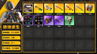 绝地求生（PUBG）[CC13286]CC13286/可排位/3段/211级/4张图纸/烟枪/烟雾弹/兰博基尼SUV/小丑女/9级南瓜M4/3级彩虹M24/1级无重力/1级小兔MK12/1级午夜惊魂98k/电磁背包/星魂套装/小黄鸭/滑雪镜/滑雪帽/金面/丸子头/婚纱头/白熊/青海摇/