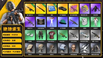 绝地求生（PUBG）[K4255]5段500级 信誉1 4级猪八戒+异色 4级孙悟空 烟枪 2图纸 马丁跑车 