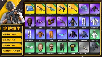 绝地求生（PUBG）[K4257]1段456级 信誉3 5级妖魔 1级寒蚀 1级权志龙AUG 1级夜曲 烟枪 5图纸 星魂大礼包 黄东 发光手 白熊脚 丸子头 黑鬼 滑雪镜 金面