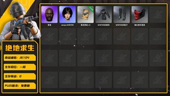 绝地求生（PUBG）pubg20级小号，布加迪隐藏碳钎维车漆+成品金东天+120票+老黑+发光披风+二代金面+朋克套装+老奶奶睡裙+女团降落伞+双马尾