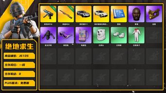 绝地求生（PUBG）小号，911。帕美。911粉色车皮，保时捷男套装，老黑，金面，滑雪镜，白运动裤，白熊脚，发光手臂，粉色电磁包，保时捷通行证。两把成长型，M24. MP5. 