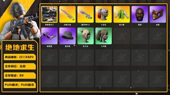 绝地求生（PUBG）[CC13324]CC13324/可排位/5段/95级/显卡套/改名卡/阿斯顿马丁SUV/2阿斯顿马丁跑车/小丑女/6级玩偶大炮/3级魔咒mk12/1套1代女团/橙运动/粉战神/萨芬裤/pro套装/阿狸套装/滑雪镜/滑雪帽/金面/黑鬼/双马尾/丸子头/渔夫帽/白熊/青海摇