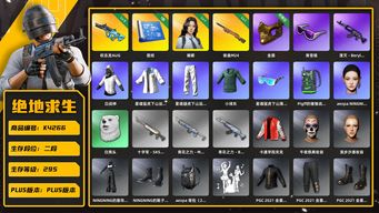 绝地求生（PUBG）[K4266]2段295级 信誉3 3级权志龙 1级夜曲m24 1图纸 白战神 金面 滑雪镜 女团ningning 