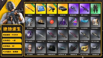 绝地求生（PUBG）[K4269]1段39级  信誉2  卡宴  2级小夜曲  1级寒蚀  烟枪  1图  拉风龙裤子