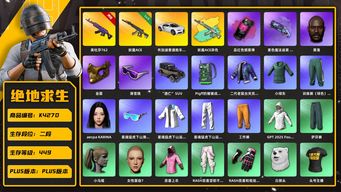 绝地求生（PUBG）[K4270]2段449级   信誉1  10级美杜莎 5级妖魔+异色 烟弹烟枪 布加迪跑车 绿东 aespa KARINA 黑鬼 金面 滑雪镜 电磁包