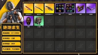 绝地求生（PUBG）[CC13362]CC13362/可排位/3段/393级/改名卡/3张图纸/烟枪/烟雾弹/10级弥诺陶洛斯AUG/3级无信号M4/1级猛虎98k/弥诺陶洛斯AUG异色/绿东/pigff套装/滑雪镜/金面/黑鬼/双马尾/白熊