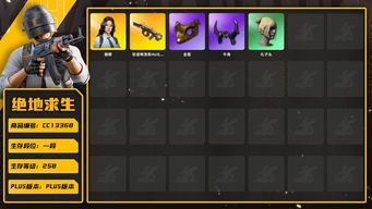 绝地求生（PUBG）[CC13368]CC13368/可排位/1段/258级/改名卡/500GB/6张图纸/8000聚合物/2级翰娜/5级弥诺陶洛斯AUG/绿东/黄东/拉风龙套装/粉战神/金面/牛角/丸子头/婚纱头/白熊/青海摇