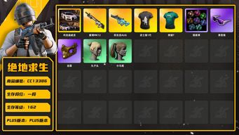 绝地求生（PUBG）[CC13386]CC13386/可排位/1段/162级/熊猫T/武士服1代/烟雾弹/布加迪/5级权志龙AUG/1级赛博MK12/权志龙AUG异色/小黑盒夹克/虎牙夹克/快手夹克/绿东/星魂套装/白战神/染血运动裤/权志龙套装/拉风龙套装/小叮当/阿狸套装/滑雪镜/金面/双马尾/丸子头/白熊
