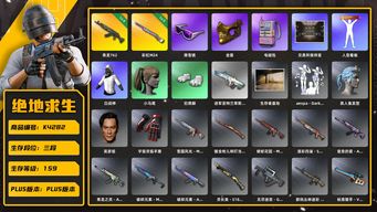 绝地求生（PUBG）[K4282]3段159级 信誉3 4级青龙 3级彩虹 吴彦祖 金面 滑雪镜 白战神 电磁包