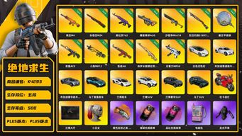 绝地求生（PUBG）[K4295]5段500级 信誉5 9级南瓜 6级悟空 6级美杜莎 6级爆裂 2级沙悟净 2级烈日喷 1级恶魔 1级小兔 1级圣诞ak 1级德拉贡 1级无重力 2级塞壬 烟枪烟弹 迈凯伦 布加迪 双马丁 三兰博 杜卡迪 爱的主打歌 悲喜 白战神 染血裤 星魂白 拉风龙 黄东 绿东 萨芬裤 发光手 白熊套 电磁包 牛角 渔夫帽 金面 滑雪镜 丑女 一代女团ROSE 24女团HANNI 小马尾 丸子头