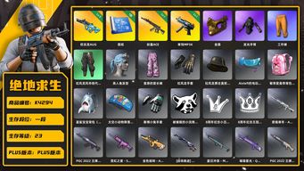 绝地求生（PUBG）[K4294]1段23级 信誉2 3级权志龙 1级妖魔 1级寒蚀 金面 发光手 