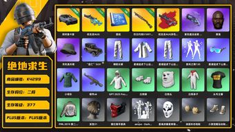 绝地求生（PUBG）[K4299]2段377级 信誉2 6级权志龙AUG+异色 1级烈日喷 烟枪 保时捷卡宴图样 星魂白 白熊脚 黑鬼 渔夫帽 绿东