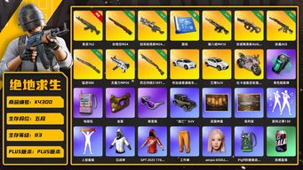 绝地求生（PUBG）[K4300]5段83级 信誉4 10级青龙 7级孙悟空 3级m249 1级猪八戒 1级牛头 1级妖魔 1级猛虎 1级无重力 1级s1897 烟雾弹 白战神 电磁包 金面 滑雪镜 粉毛 武器神龛  陈列室