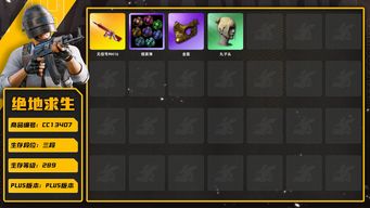 绝地求生（PUBG）[CC13407]CC13407/可排位/3段/289级/改名卡/1张图纸/烟枪/粉色烟雾弹/绿色烟雾弹/9级无信号M4/1套3代女团/白战神/圣诞套装/金面/丸子头/脏辫/青海摇