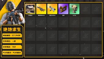 绝地求生（PUBG）[CC13408]CC13408/可排位/1段/162级/1张图纸/兰博基尼SUV/6级无重力/1级爆裂弹珠AUG/绿东/2星魂套装/pigff套装/发光手臂/金面/丸子头/白熊