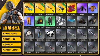 绝地求生（PUBG）[K4301]1段6级（未开通排位）3级权志龙+异色 1级夜曲 1级s1897 1级寒蚀 黄东 发光手 